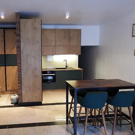 Apartamenty Pod Katedra Bielsko-Biala Exterior foto