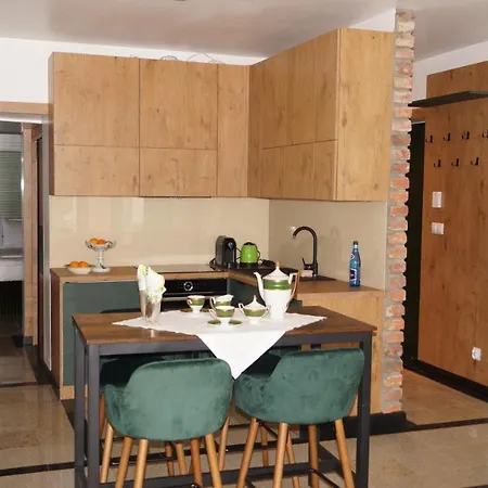 Apartamenty Pod Katedra Bielsko-Biala Exterior foto